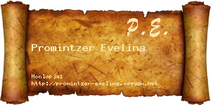 Promintzer Evelina névjegykártya